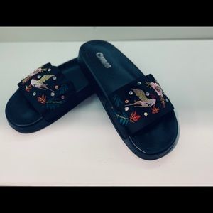 Carlos by Carlos Santana Slides